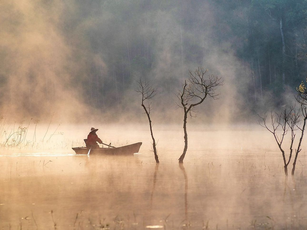 Fishing net holding a caught fish in clear freshwater